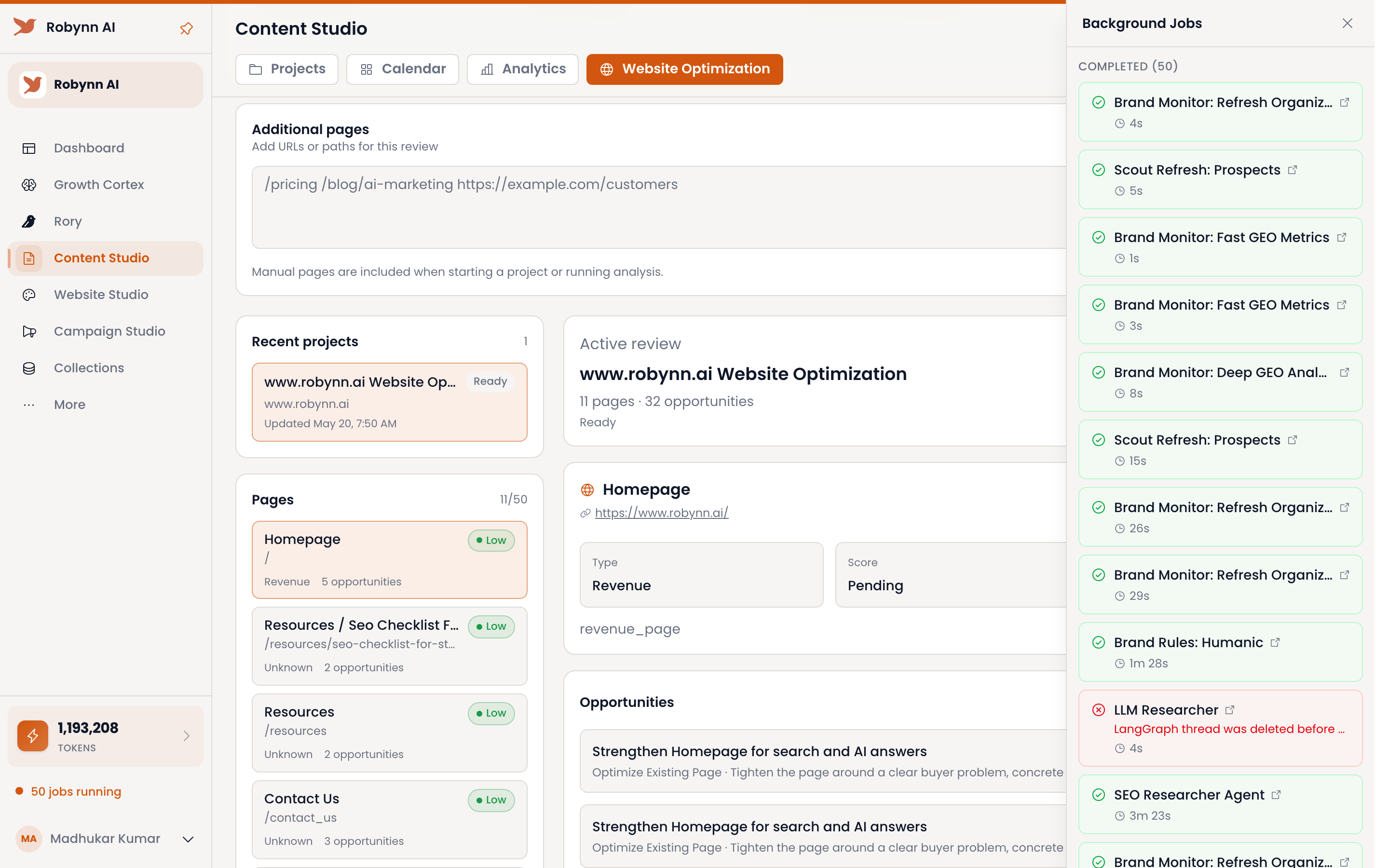 Robynn Content Studio Website Optimization tab with page-by-page SEO analysis